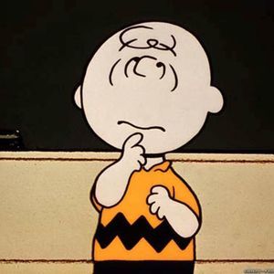 Meet your Posher, Annie